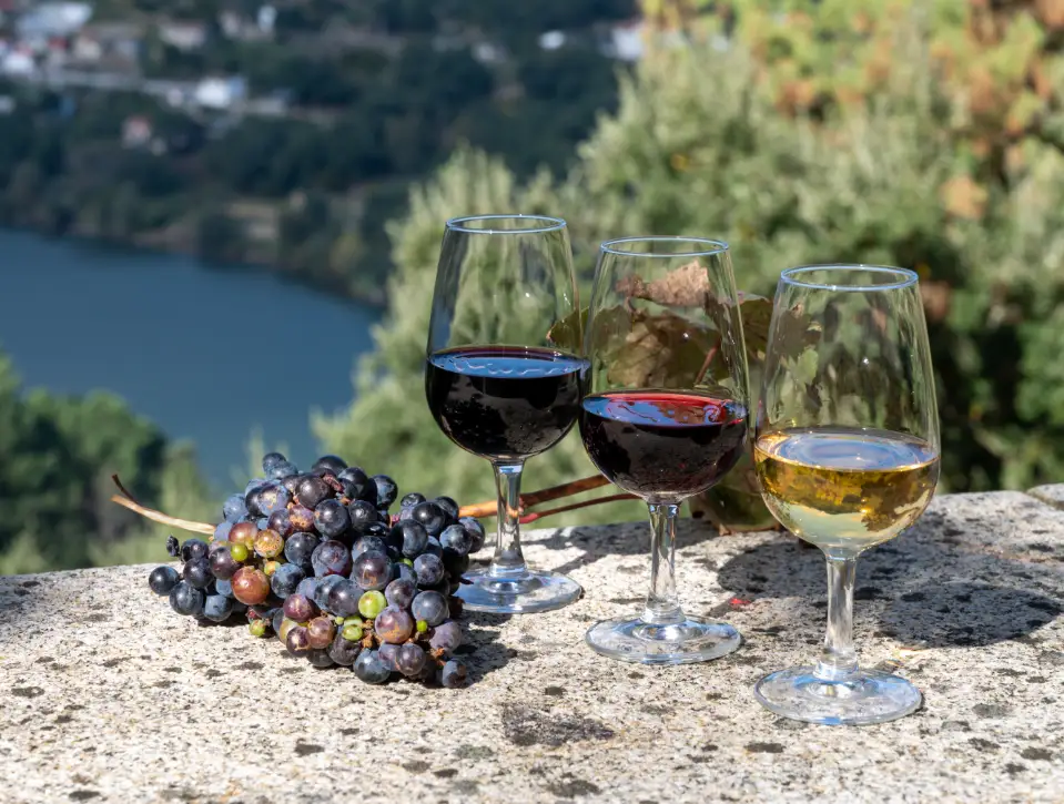 Provas de Vinhos